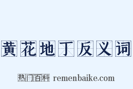 黄花地丁反义词是什么意思的图片